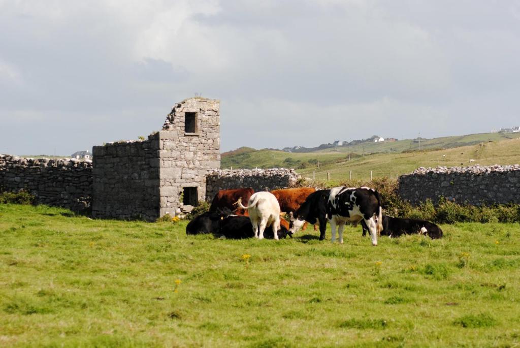 O'Connor'S Accommodation Doolin Exterior photo